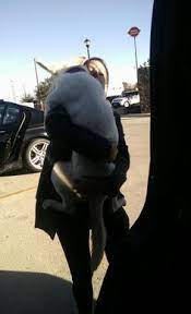 Skae Gudritz Sgudritz - Profile Pinterest