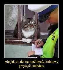 Śledź z nami najnowsze trendy internetu. Mandaty Bez Odwolania Memy Internautow To Najlepsza Odpowiedz Na Nowy Pomysl Troche Humoru Nigdy Nie Zaszkodzi Szczecin Nasze Miasto