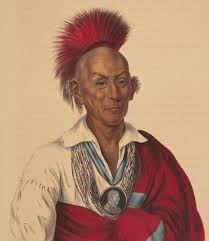 Black Hawk in the Artist's Eye