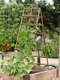 24 Easy Diy Garden Trellis Ideas Best Plant Structures In 2021 Diy Garden Trellis Vegetable Trellis Vegetable Garden Trellis