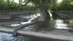 Documents similar to irrigation methods in fruit crops. Water Flows From Channel Through Stock Footage Video 100 Royalty Free 1177594 Shutterstock