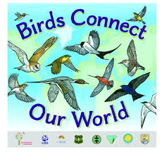 Wmbd 2020 Birds Connect Our World Map Our World Bird Migration Environmental Art