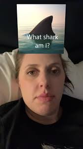 Madeline Ley (@madelineley2)