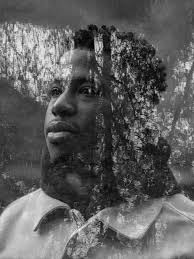 Adrien Allard Photographie (@adrienallardphotographie) • Instagram photos  and videos