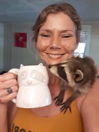 Hey do yall have a tame raccoon??