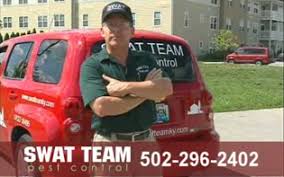 We are one stop source to get complete, quality and affordable commercial pest control services in phoenix. Swat Team Pest Control