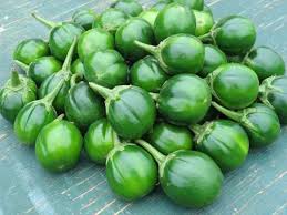 Food, weight, salad, diet, meal, sauce, chocolate, vegetables. African Garden Egg Solanum Melongena