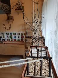 Voliere, oder käfig, was ist für wellensittiche und bourkesittiche besser? Wellensittiche Mit Behinderungen Wellensittiche Blog Wellensittich Wellensittich Spielzeug Vogel Spielzeug Selber Gemacht