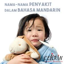 .dan gambarnya, majalahikan.com | ada banyak sekali jenis ikan yang hidup di laut, sebagian darinya adalah jenis ikan air laut yang bisa dikonsumsi, dan pembaca bukan hanya sekedar tau nama nama ikan laut, akan tetapi baik nama ikan dalam bahasa inggris dan nama latin ikan laut juga pembaca tau. Nama Nama Penyakit Dalam Bahasa Mandarin