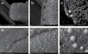 Clearance centre next to the randburg store address: Conservation Of Ethnographic Artefacts Selective Laser Ablation Of Deposits From Doum Palm Fibers Sciencedirect