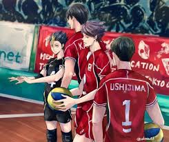 Haikyuu Team Japan Haikyuu Kageyama Ushijima Wakatoshi Haikyuu
