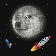 Bitcoin will 'moon' if the u.s. Dogecoin S 12 000 Rally Spurs Hunt For Next Crypto Winner Wsj