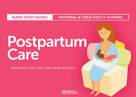 A nursing care plan outlines the nursing care to be provided to a patient. Postpartum Nursing Care Care Of The New Mother