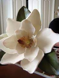 Gum Paste Magnolia Sugar Flowers Tutorial Sugar Flowers Gum Paste Flowers