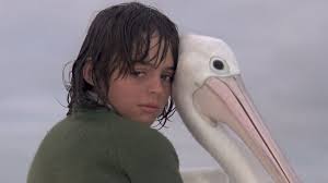 Press shift question mark to access a list of keyboard shortcuts. Why The Original Storm Boy Movie Was A Life Shaping Moment