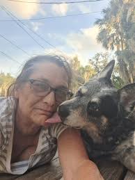 Old photos of pet babies wanted