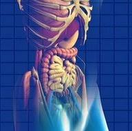It can also move into neighboring blood vessels. High Fat Diet Can Cause Pancreatic Cancer But There S Hope Healthcare In Europe Com