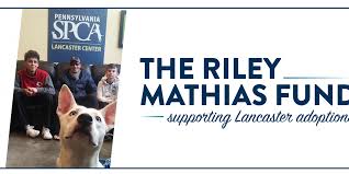 On the day that is normally devoted to the groundhog looking for his shadow, nevada spca is asking. Give To The Riley Mathias Fund For Lancaster Adoptions Pennsylvania Society For The Prevention Of Cruelty To Animals
