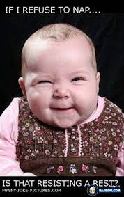 Or in the case of this post, over one hundred laughs? Photos Funny Pictures Download