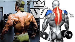 How To Build A Big Shoulders And Back - Youtube