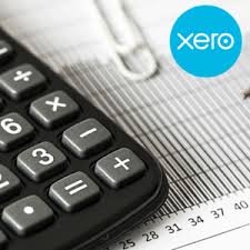 why tradies shouldnt use the xero standard chart of