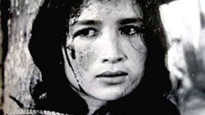 17th Parallel, Nights and Days (1972)