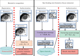 Binding Cryptographic Keys into Biometric Data: Optimization