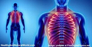 The ribs are a veritable collection of bone, muscle, and organs. Rib Pain On Left Or Right Side The Most Likely Causes Of Rib Cage Pain
