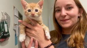 Wundertüte enthält 10.000 Euro für Tierheim in Wolfenbüttel