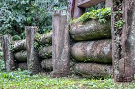 Maybe you would like to learn more about one of these? Quando Ir A Curitiba Clima E Melhor Epoca Blog Da Maxmilhas