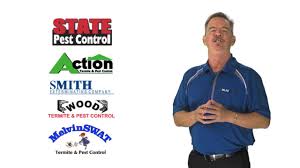 Protect the wood (hire a pest control company). Contact Us North Carolina Bug Out Termite And Pest Control