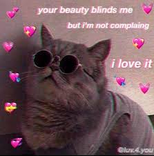 40 Awesome Cat Facts To Understand Them Better Cute Cat Memes Cute Love Memes Love Memes