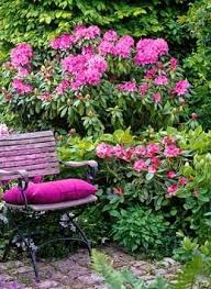 Mazzelshop Inspiratie Decoratie Roze Tuin Decorations Pink Garden Backyard Flowers Home Kasvit Puutarha Piha