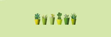 See more ideas about twitter layouts, twitter header, twitter header aesthetic. Pin On Panos De Prato Twitter Header Photos Twitter Header Aesthetic Twitter Header