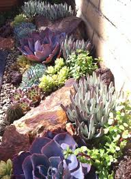 Stars of the succulent garden great design plant 10 spectacular flowering succulents. 20 Beautiful Rock Garden Design Ideas Shelterness