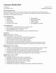 Resume Summary Examples For Sales Unique Best Retail Salesperson Resume Example Resume Summary Examples Resume Examples Job Resume Examples