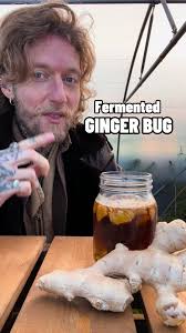 Fermented Ginger Bug! 🫚 A ginger bug is a fantastic starter ferment as  it’s so easy to make, it’s just ginger, unrefined sugar and filtered water  and I’ll be using this as a probiotic starter to ...