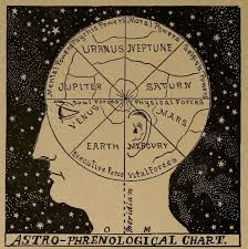 Astro Phrenological Chart Brain Matters In 2019 Vintage