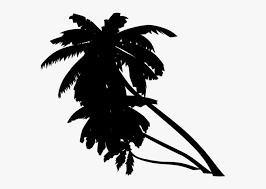 Download icons in all formats or edit them for your designs. Coconut Trees Png Transparent Images Animated Palm Tree Png Png Download Kindpng