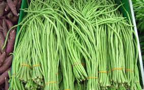 Selain warnanya yang cerah, bunga matahari juga memiliki banyak keunggulan yang bisa dikomersilkan. 15 Tanaman Yang Menguntungkan Mudah Ditanam Cepat Berhasil Investasi Untung