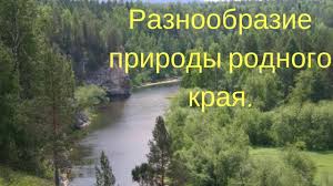 проект по окружающему миру 3 класс разнообразие природы родного края Raznoobrazie Prirody Rodnogo Kraya Okruzhayushij Mir 3 Klass Youtube