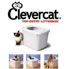 Your cat can still easily access her litter tray. Clever Cat Litter Box Reviews Top Entry Choice Read First