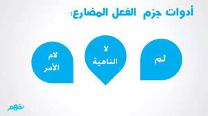 إعراب الفعل المضارع اللغة العربية الصف السادس الابتدائي الترم الثاني المنهج المصري نفهم Youtube