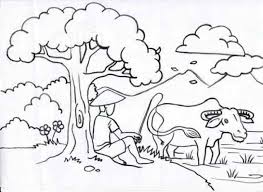 Membajak sawah cara tradisional, dengan tenaga sapi/kerbau. Sketsa Gambar Sawah