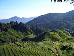 Yang kita tempati saat ini memang tidak seluruhnya berbentuk bulat. Bentuk Mukabumi Geografi Tingkatan 1