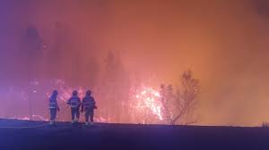 We did not find results for: Incendio Chega A Serra De Monchique Algarve Marafado