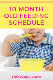 I want to know about the diet plan for 10 month old baby as we are pure vegetarian so please suggest considering that? 10 Month Old Feeding Schedule Petite Capsule
