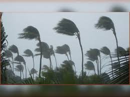 Weather Update: জারি কমলা সতর্কতা! ঝড় আসছে কলকাতায়, পড়বে বাজও... | west  bengal weather update thunderstorm lightning gusty wind kolkata district