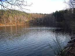Check spelling or type a new query. Steinbachtalsperre Bei Euskirchen Gewassersteckbrief Anglermap