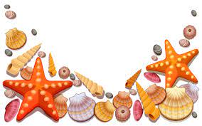 This Png Image Sea Shells Decor Png Vector Clipart Is Available For Free Download Seashell Drawing Illustration Seashell Drawing Free Clip Art